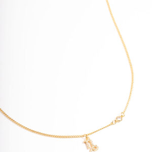 Capricorn Necklace With  Pendant